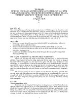 Hướng dẫn viết báo cáo phân tích định tính