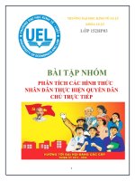 phân tích các hình thức nhân dân thực hiện quyền dân chủ trực tiếp