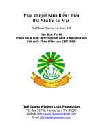 Phật Thuyết Kinh Biến Chiếu Bát Nhã Ba La Mật