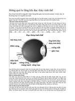 Đừng quá lo lắng khi đục thủy tinh thể