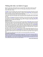 Những dấu hiệu của bệnh trĩ ngoại