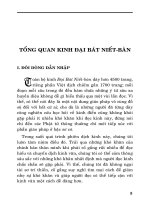 Tổng Quan Kinh Đại Bát Niết-Bàn
