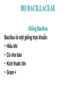 Bệnh nhiệt thán