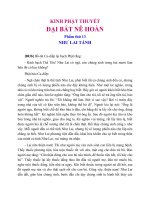 Kinh Phật Thuyết Đại Bát Nê Hoàn Phẩm Thứ 13 Như Lai Tánh