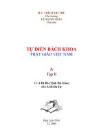 Tự Điển Bách Khoa Phật Giáo Việt Nam Tập II