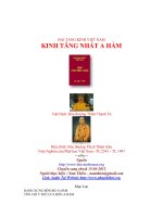 Kinh Tăng Nhất A Hàm Việt Dịch Hòa Thượng Thích Thanh Từ