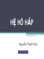 MÔ PHÔI hệ hô hấp ppsx 