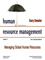 Dessler ch 17 managing global human resources 