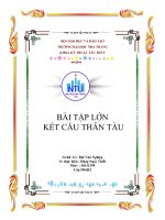Tiểu luận tính toán, thiết kế kết cấu thân tàu theo quy phạm TCVN 6259 2003 với tàu hàng 20 000 tấn 