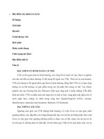 Đặc điểm của nhóm trẻ tự kỷ