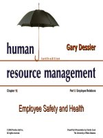 Dessler ch 16 employee safety and health 