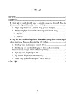 Phân tích những thay đổi cơ bản về chức năng của các thiết chế liên minh châu Âu trong chính sách đối ngoại và an ninh chung ( CFSP ) theo quy định của Hiệp ước Lisbon