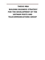 BUILDING BUSINESS STRATEGY FOR THE DEVELOPMENT OF THE VIETNAM POSTS AND TELECOMMUNICATIONS GROUP