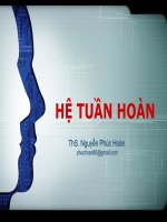 MÔ PHÔI hệ tuần hoàn 