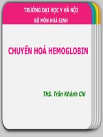 HÓA SINH chuyển hóa hemoglobin   cô chi 