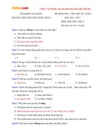 Đề kiểm tra 1 tiết học kì 1 môn Hóa học lớp 12 trường THPT Nguyễn Trung Trực, An Giang năm học 2016 - 2017