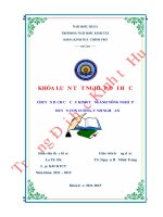 Chuyển dịch cơ cấu kinh tế ngành nông nghiệp ở huyện Con Cuông, tỉnh Nghệ An