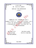 Nghiên cứu các yếu tố ảnh hưởng đến ý định lựa chọn dịch vụ thẻ thanh toán ATM của khách hàng tại Ngân hàng Thương mại cổ phần Ngoại thương Việt Nam - Chi nhánh Huế