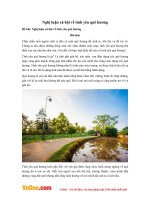 Văn mẫu lớp 9: Nghị luận xã hội về tình yêu quê hương