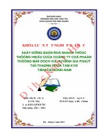 Xây dựng bản đồ nhận thức thương hiệu của Công ty Cổ phần Thương mại Dịch vụ Huỳnh Gia Phát tại thành phố Tam Kỳ tỉnh Quảng Nam
