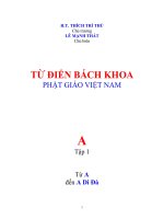 Tự Điển Bách Khoa Phật Giáo Việt Nam Tập I