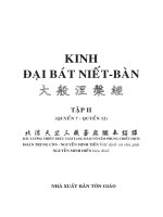 Kinh Đại Bát Niết Bàn Tập II