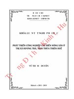 Phát triển công nghiệp chế biến nông sản ở thị xã Hương Trà, tỉnh Thừa Thiên Huế