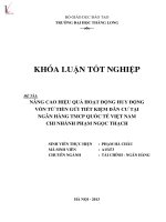 Khóa luận nâng cao hiệu quả hoạt động huy động vốn từ tiền gửi tiết kiệm dân cư tại ngân hàng TMCP quốc tế việt nam chi nhánh phạm ngọc thạch 