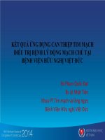 Kết quả ứng dụng can thiệp tim mạch điều trị bệnh lý động mạch 