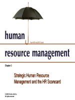 Dessler ch 3 strategic human resource management and the HR