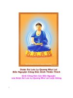 Dược Sư Lưu Ly Quang Như Lai  Bổn Nguyện Công Đức Kinh Thiển Thích