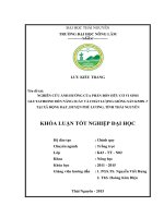 Nghiên cứu ảnh hưởng của phân bón hữu cơ vi sinh Glutathione đến năng suất và chất lượng giống sắn KM98 7 tại xã Động Đạt  huyện Phú Lương  tỉnh Thái Nguyên.