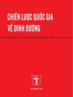 Chiến lược quốc gia về nhu cầu dinh dưỡng năm 2011 2020 và tầm nhìn đến năm 2030