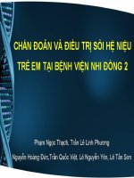 Chẩn đoán và điều trị hệ sọi niệu trẻ em tại bệnh viện nhi đồng 2 