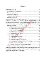 Thực trạng hoạt động kiểm soát rủi ro tín dụng tại ngân hàng thương mại cổ phần Đầu tư và Phát triển Việt Nam - chi nhánh Thừa Thiên Huế