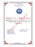 Tình hình quản lý vốn đầu tư xây dựng cơ bản từ ngân sách nhà nước tại huyện Chư Pưh, tỉnh Gia Lai