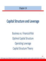 Finance management cengage 2013 chapter 014 