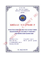 Phân tích công tác đào tạo và phát triển nguồn nhân lực tại công ty TNHH MTV Con Đường Xanh Quảng Nam