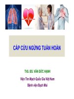 Cập nhật về cấp cứu ngừng tuần hoàn cho điều dưỡng, kỹ thuật viên can thiệp 