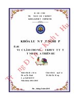 Việc làm cho người khuyết tật ở tỉnh Thừa Thiên Huế