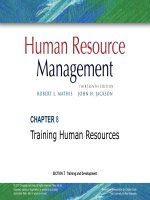 Human resrouce management 13th  mathis jacson chapter 08 