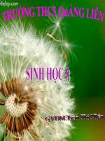 Bài giảng sinh học 8 vệ sinh hô hấp thao giảng (17) 