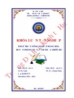 Phát triển nông nghiệp hàng hóa ở huyện Phong Điền, tỉnh Thừa Thiên Huế
