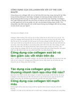 CÔNG DỤNG của COLLAGEN đối với cơ THỂ CON NGƯỜI 