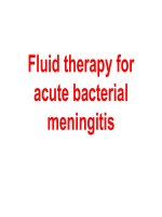 Fluid therapy for acute bacterial meningitis 