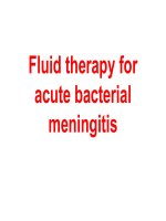 Fluid therapy for acute bacterial meningitis 