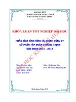 Phân tích tình hình tài chính của Công ty Cổ phần Tập đoàn Trường Thịnh