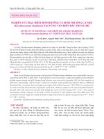 Nghiên cứu đặc điểm dinh dưỡng và sinh trưởng cá nhụ (eleutheronema rhadinum) tại vùng ven biển bắc trung bộ 