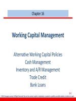 Finance management cengage 2013 chapter 016 