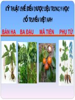 KỸ THUẬT CHẾ BIẾN DƯỢC LIỆU TRONG Y HỌC CỔ TRUYỀN VIỆT NAM